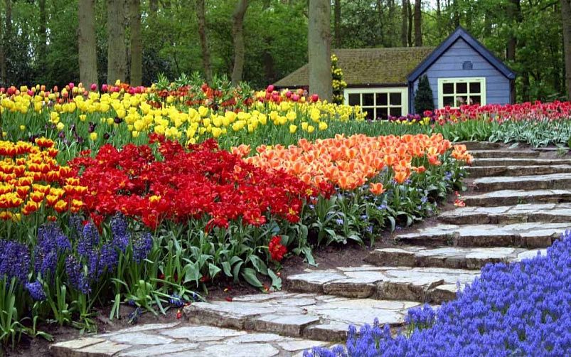 Картинка - 9