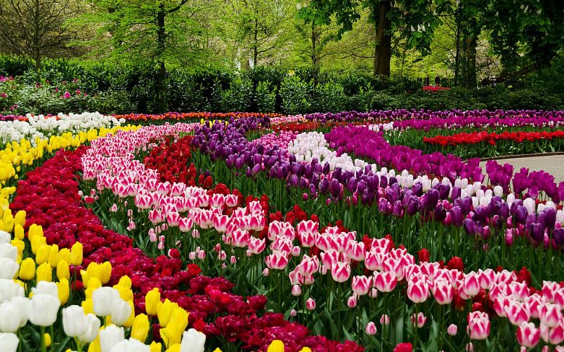 Картинка - 8