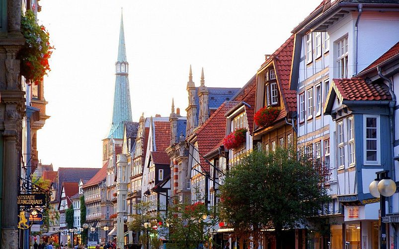 Картинка - 5